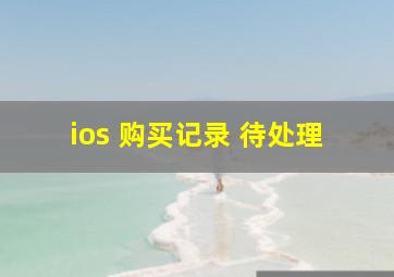 ios 购买记录 待处理